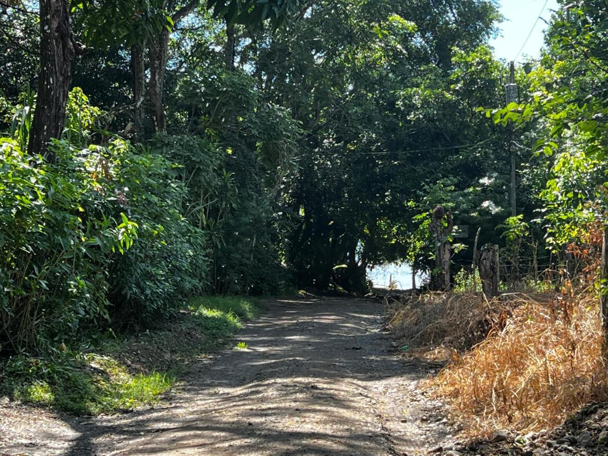 Las Plumas De Cabuya Cabuya  ภายนอก รูปภาพ
